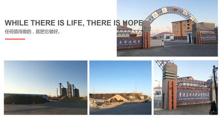 專業代理代辦服務公司簡介